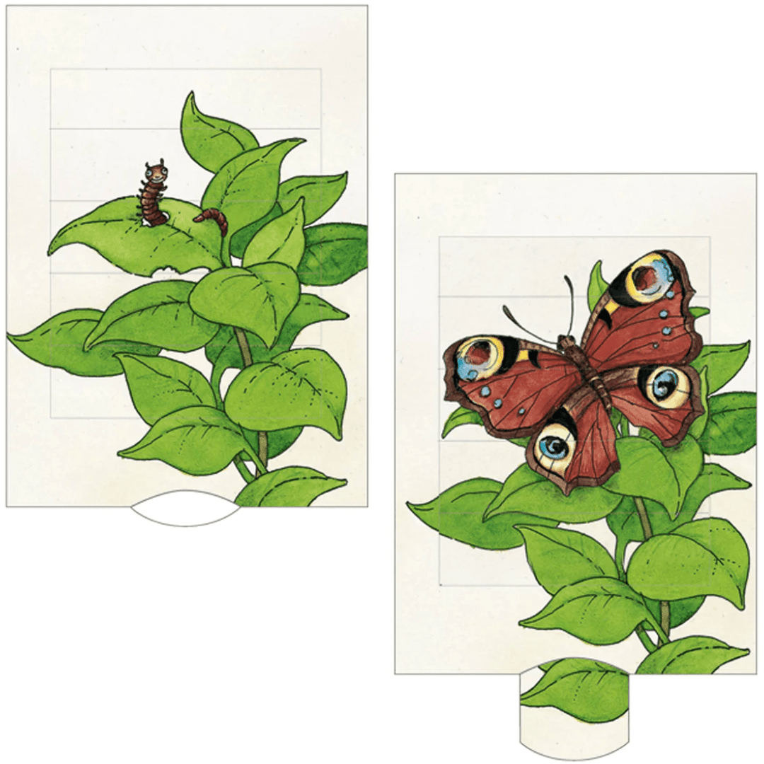 Barenpresse Living Card Butterfly Gift Cards Barenpresse