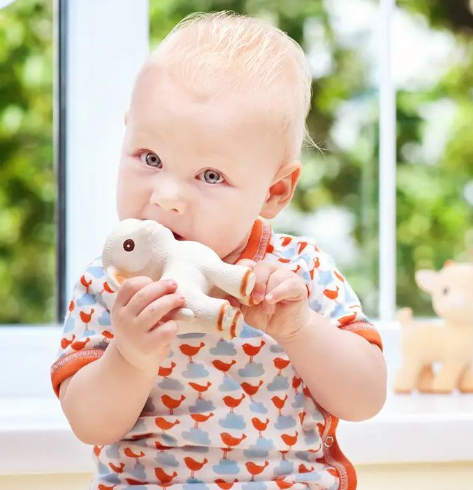 CaaOcho Natural Rubber Teether Lamb