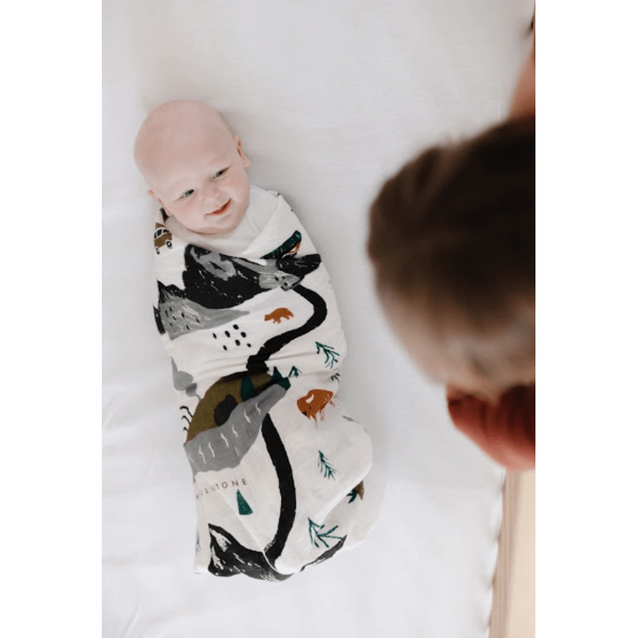 Clementine Kids National Parks Swaddle Swaddles & Blankets Clementine Kids