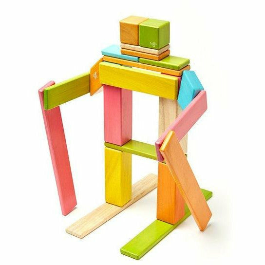 Tegu 24 Piece Magnetic Wooden Block Set: Tints Wooden Toys Tegu