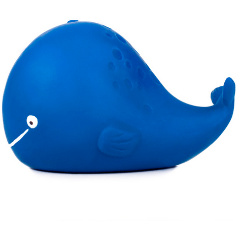 CaaOcho Kala the Whale Bath Time CaaOcho