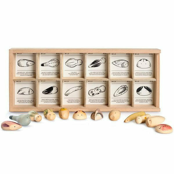 Grapat Wild Exploration Set Wooden Toys Grapat