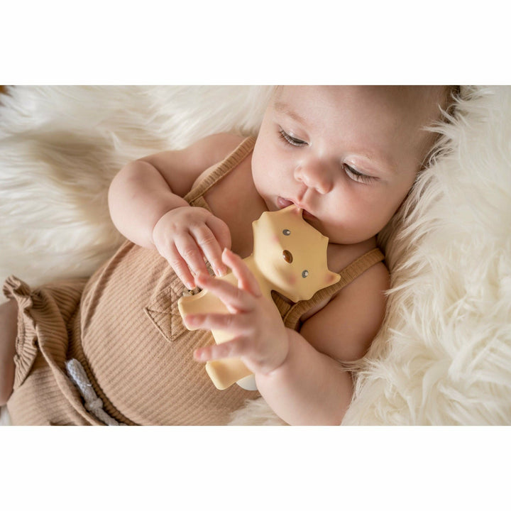Tikiri Arctic Fox Teether Pacifiers and Teething Tikiri