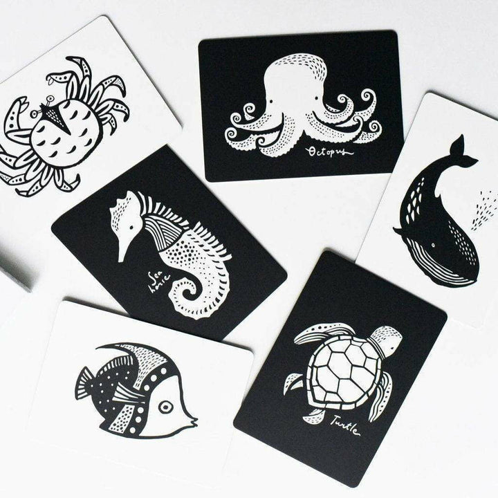Wee Gallery Art Cards For Baby Baby Toys Wee Gallery Ocean