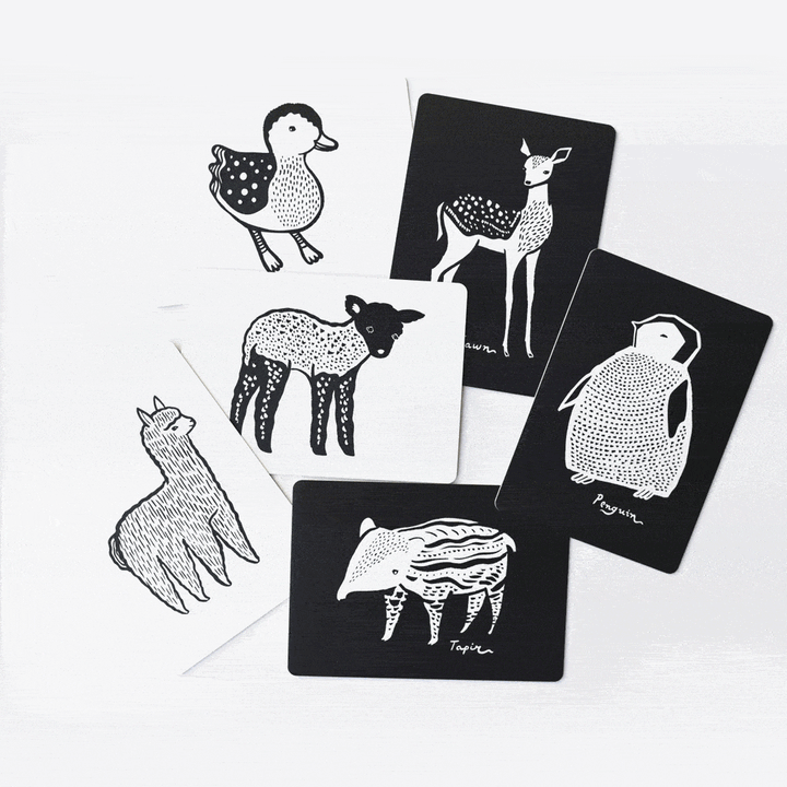 Wee Gallery Art Cards For Baby Baby Toys Wee Gallery Baby Animals