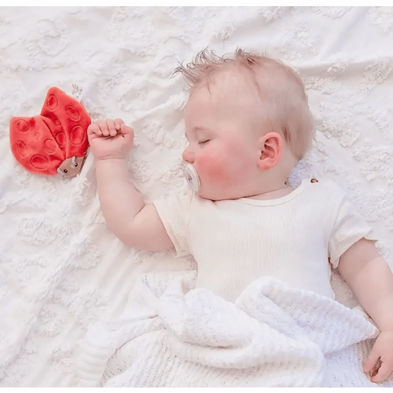 Tikiri Scrunchies- Ladybug with Crinkle Pacifiers and Teething Tikiri