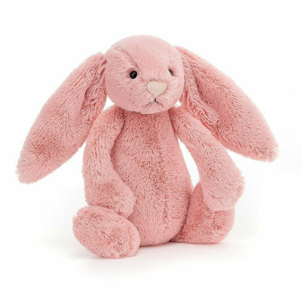 Rainbow Bunny Squeeze Toy