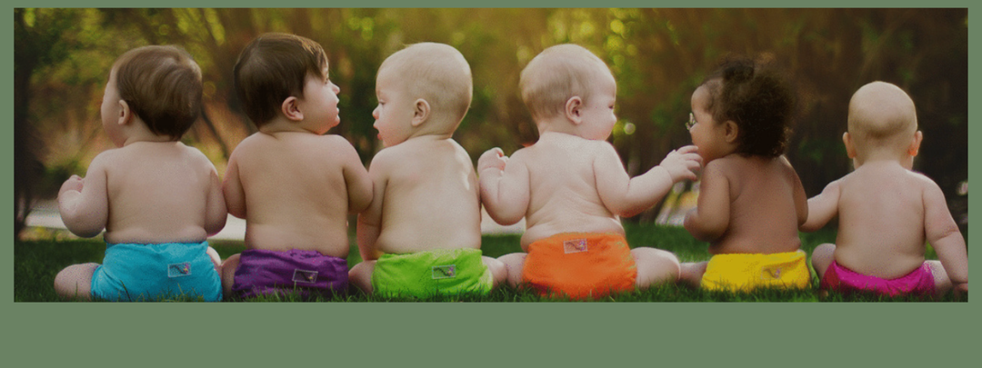 Kanga Care Cloth Diapers