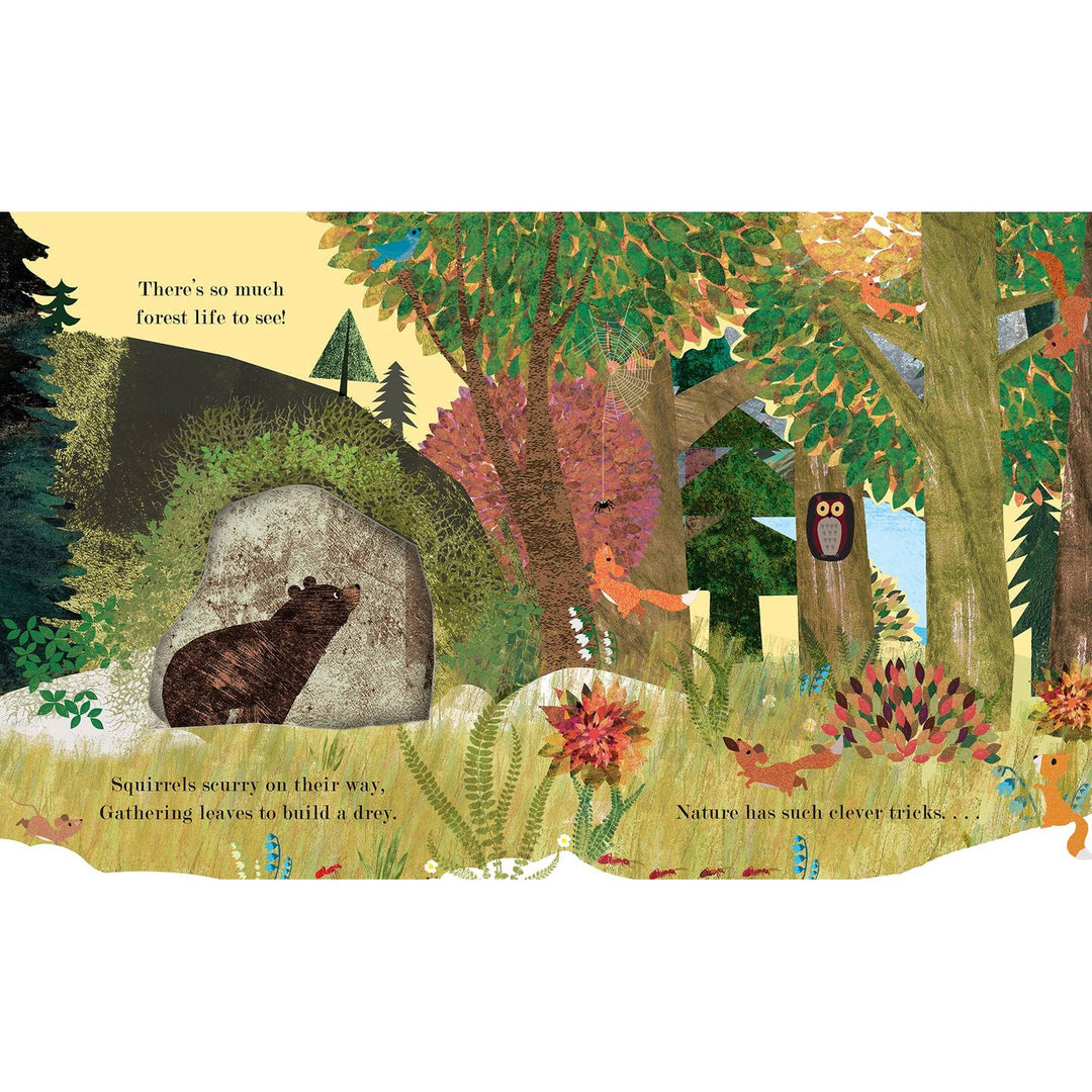 Home: A Peek-Through Board Book Books Penguin Random House