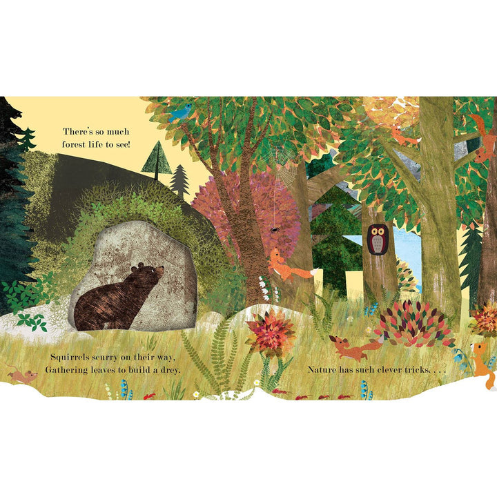 Home: A Peek-Through Board Book Books Penguin Random House