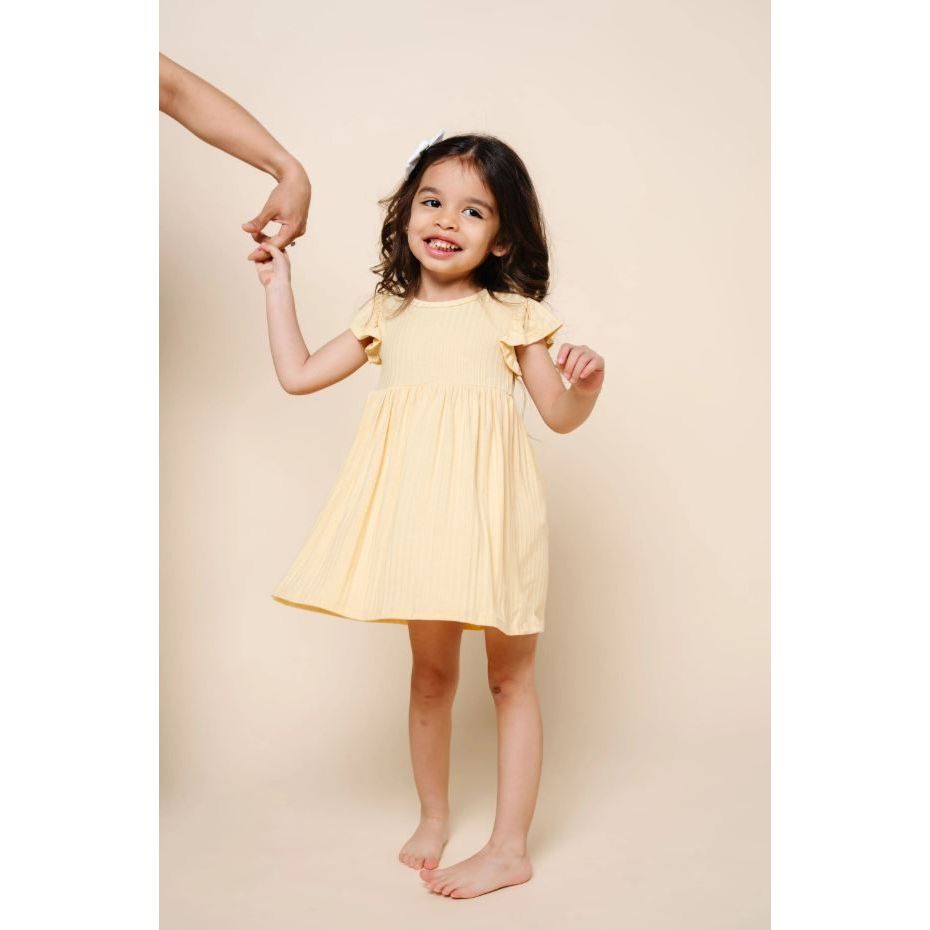 Lou Lou & Company - Twirl Dress Birdie Ribbed Dresses Lou Lou & Company
