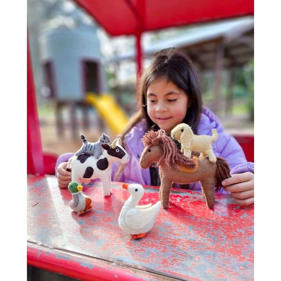 Tara Treasures Felt Farm Animals Toys Set - Set of 10 Toys Felt Toy Tara Treasures