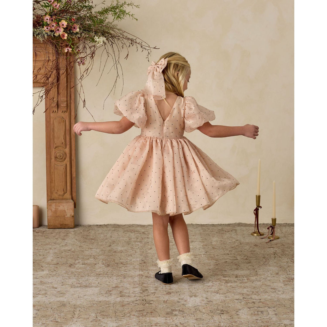 Noralee Sofia Dress - Antique Holiday dress Noralee