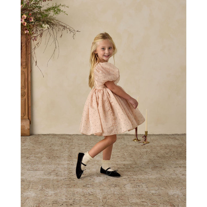 Noralee Sofia Dress - Antique Holiday dress Noralee
