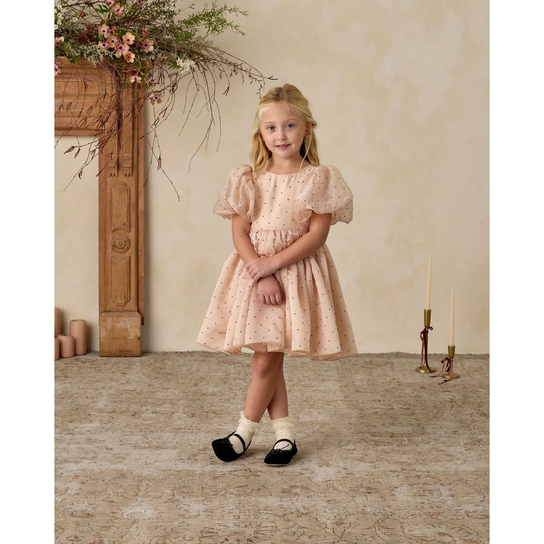 Noralee Sofia Dress - Antique Holiday dress Noralee
