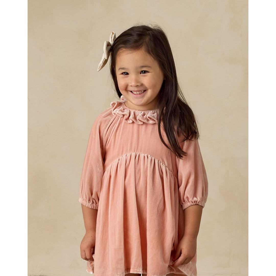 Adeline Dress Rose, 2Y at Noralee Adeline Dress Rose, 2Y at Noralee