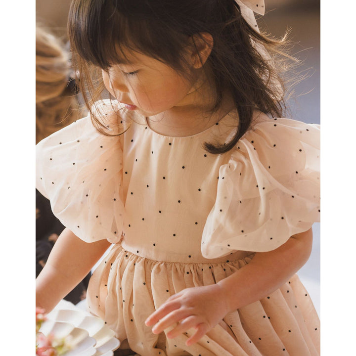 Noralee Sofia Dress - Antique Holiday dress Noralee