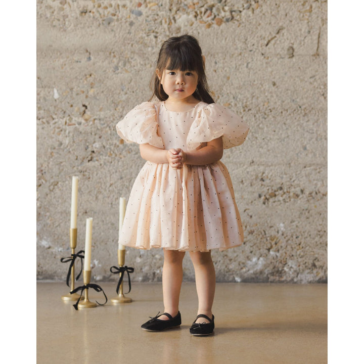 Noralee Sofia Dress - Antique Holiday dress Noralee