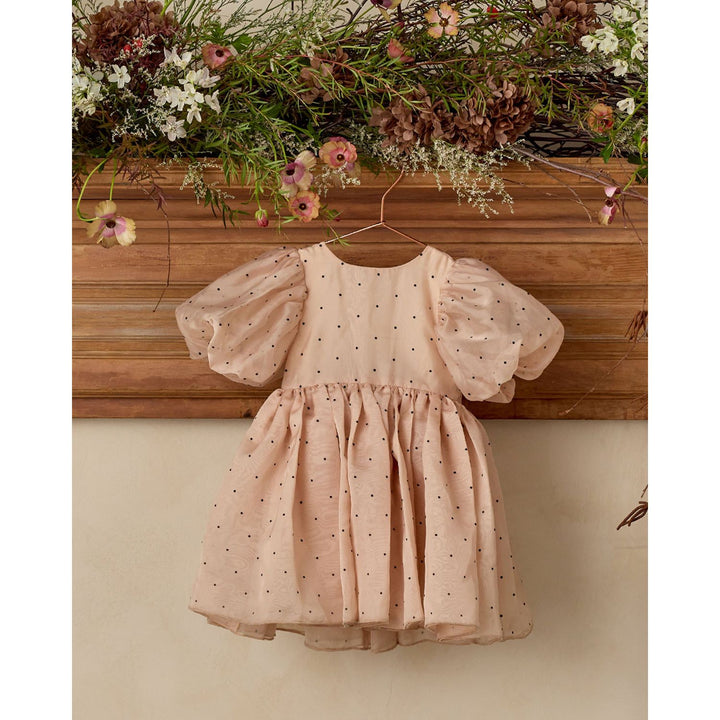Noralee Sofia Dress - Antique Holiday dress Noralee