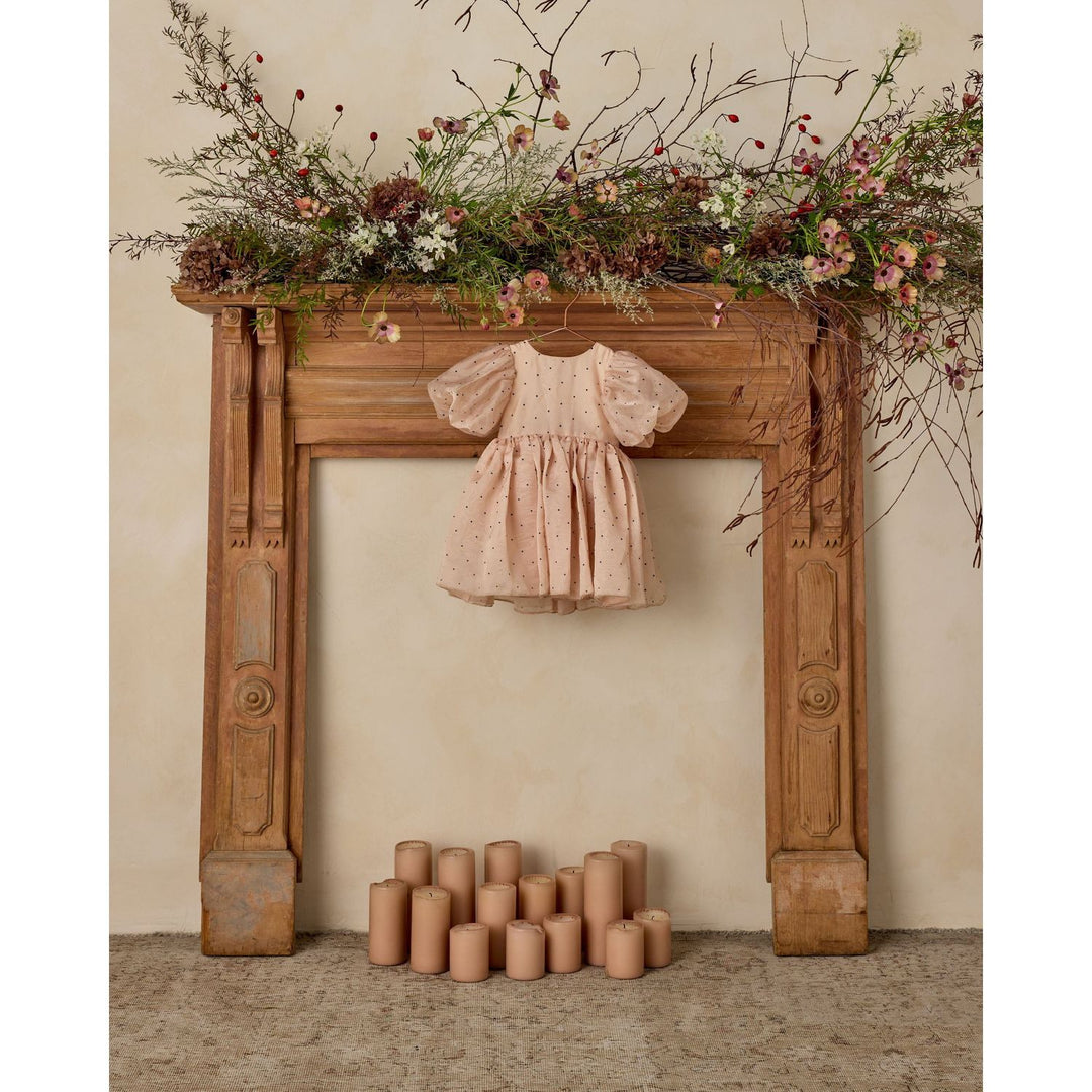 Noralee Sofia Dress - Antique Holiday dress Noralee