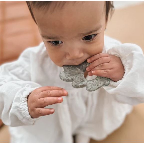 Noüka Cooling Nature Teether Pacifiers and Teething Noüka