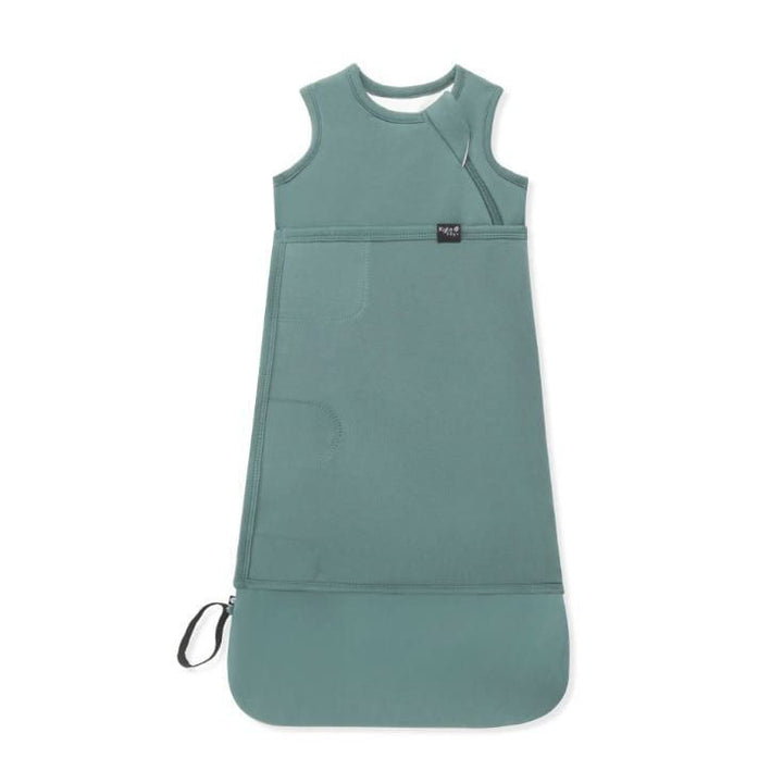 Kyte Baby Sleep Bag Swaddler