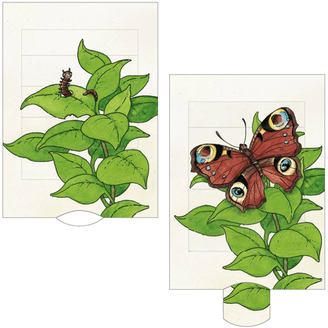 Barenpresse Living Card Butterfly Gift Cards Barenpresse   