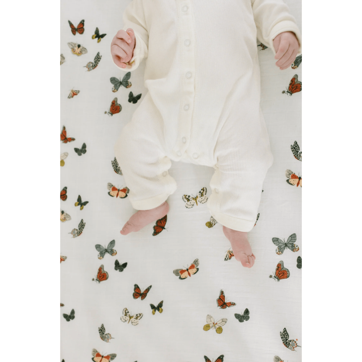 Clementine Kids Butterfly Migration Crib Sheet Baby Bedding Clementine Kids   