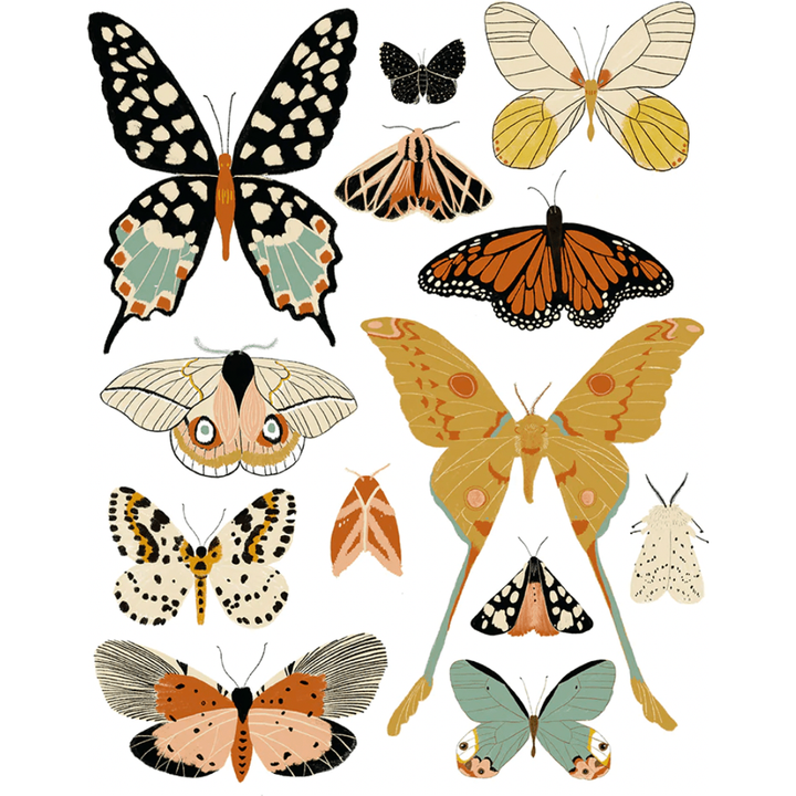 Clementine Kids Butterfly Collector Art Nursery Decor Clementine Kids   