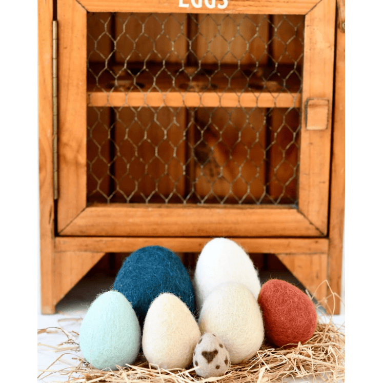 Tara Treasures Felt Eggs- 7 Types of Poultry Eggs Felt Toy Tara Treasures