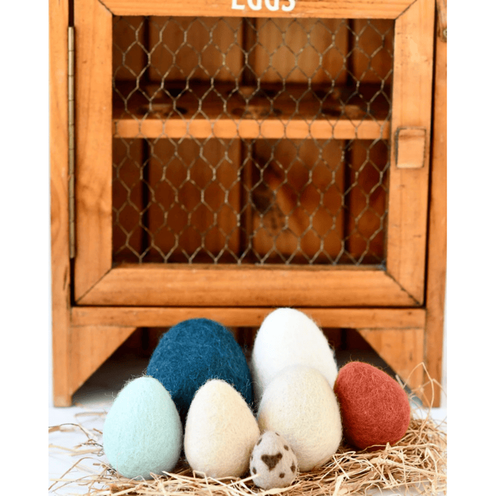Tara Treasures Felt Eggs- 7 Types of Poultry Eggs Felt Toy Tara Treasures