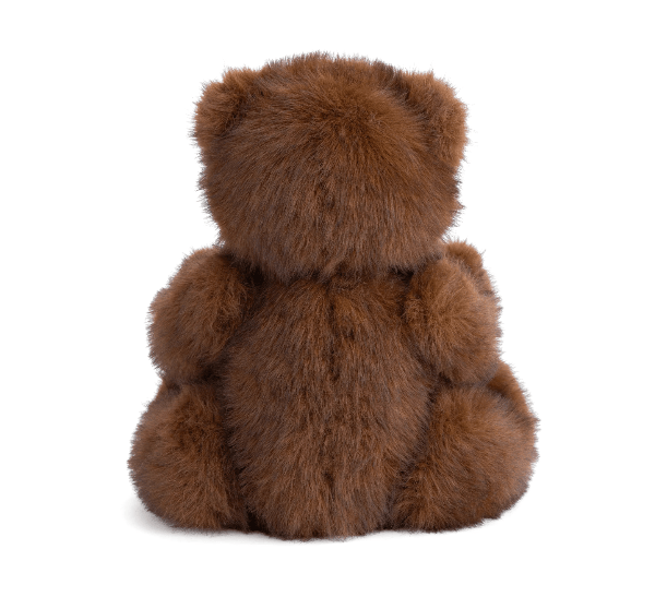 A brown plush teddy bear viewed from the back, sitting upright against a plain white background.
