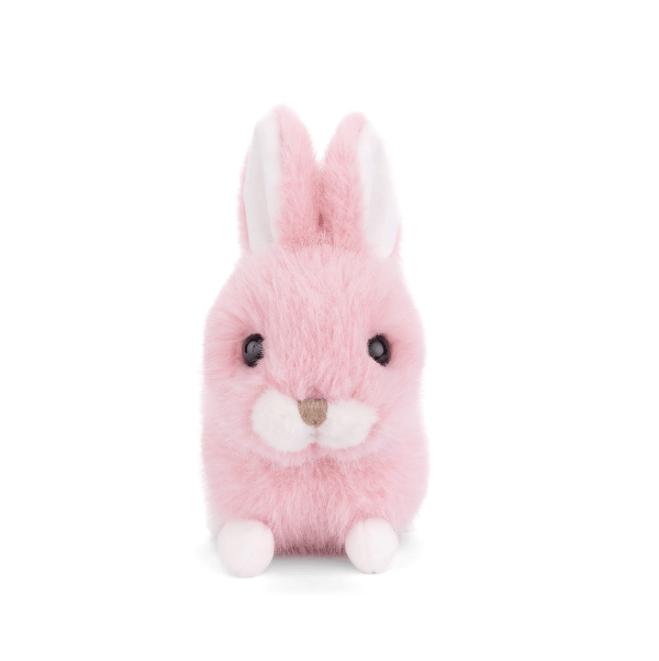 A pink plush bunny toy with long upright ears, black bead eyes, a small brown nose, and white inner ears and paws, centered on a plain white background.