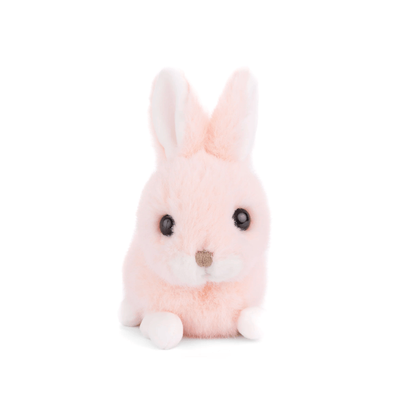 A small plush bunny toy in pale pink with white inner ears, white paws, and a small brown nose, photographed against a clean white background.