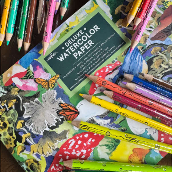eeBoo Mushroom Watercolor Pencils- 24 Piece Pencils eeBoo