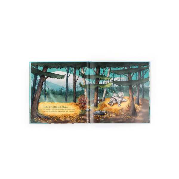 Jellycat Sacha and the Most Wonderful Thing Book Jellycat Books Jellycat