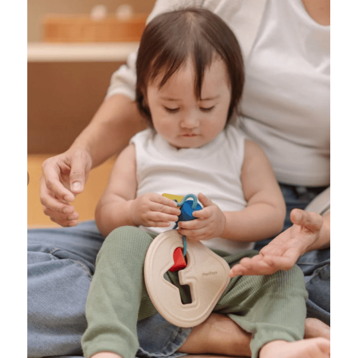 Plan Toys First Shape Sorter