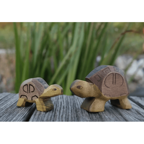 HolzWald Tortoise Wooden Toys HolzWald