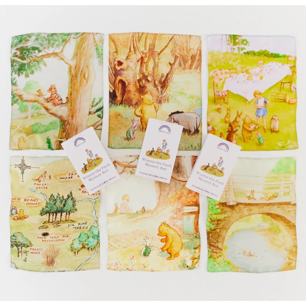 Sarah's Silks Winnie the Pooh Mini Mini Mystery Box Play Silks Sarah's Silks