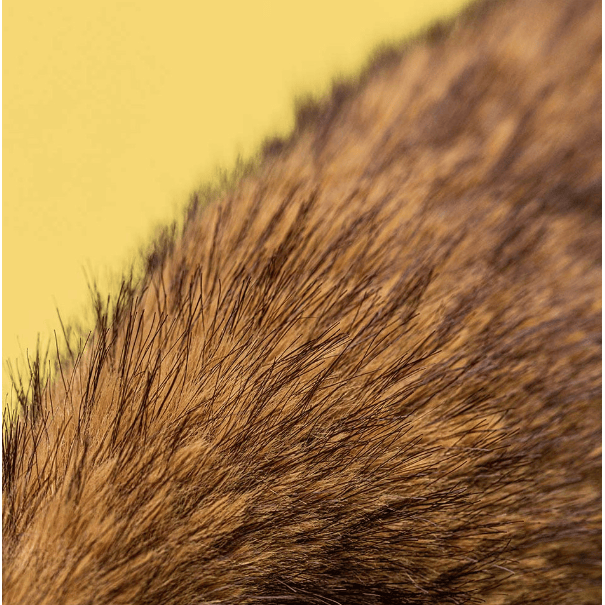 Jellycat Hoppleston Luxe Bunny Bunny Jellycat