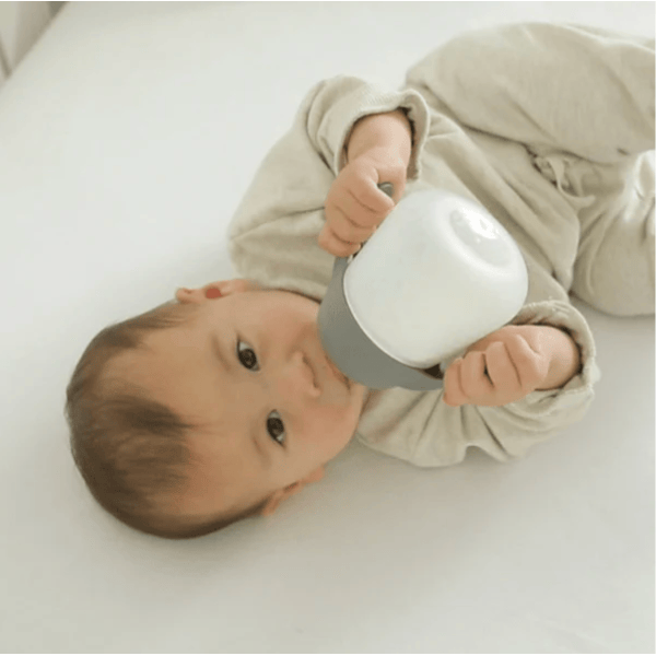 Nanobebe Flexy Bottle Quick-Click Handles- 2 Pack Bottles & Sippies Nanobebe