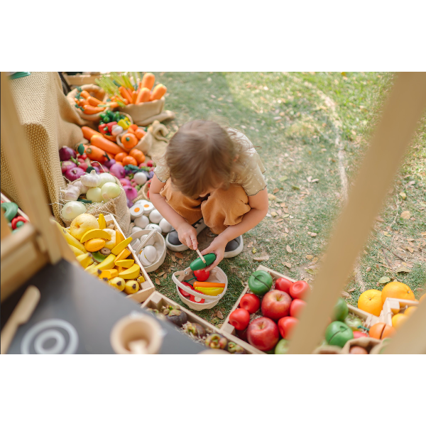 Plan Toys Farmers Market Mix Basket Toddler And Pretend Play Plan Toys