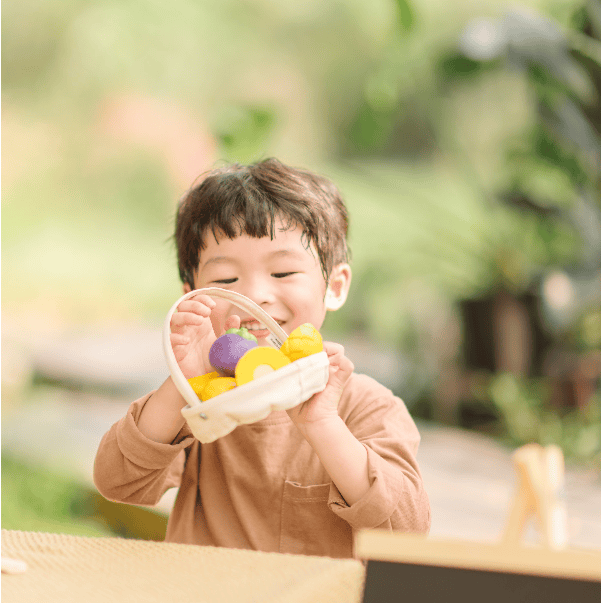 Plan Toys Tropical Fruit Basket Toddler And Pretend Play Plan Toys