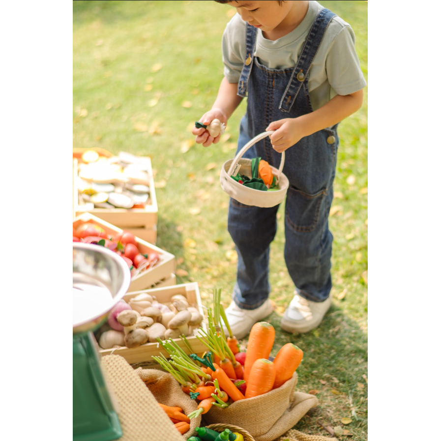 Plan Toys Fresh Veggie Basket Toddler And Pretend Play Plan Toys