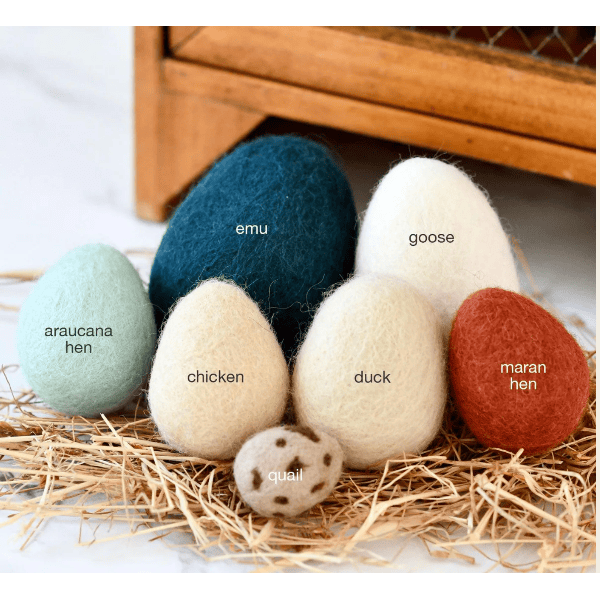 Tara Treasures Felt Eggs- 7 Types of Poultry Eggs Felt Toy Tara Treasures