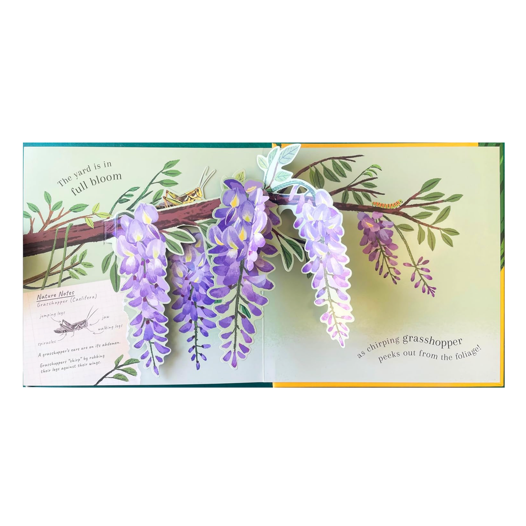 Beautiful Bugs Books Penguin Random House