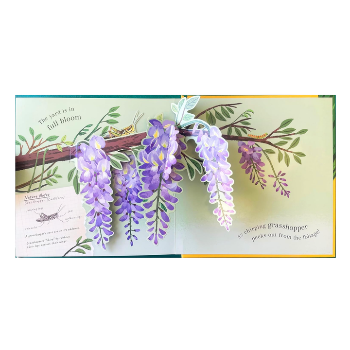 Beautiful Bugs Books Penguin Random House