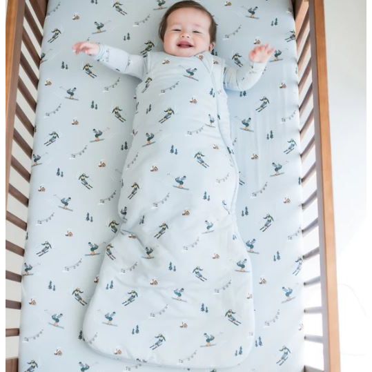 Kyte Baby Sleep Bag 1.0