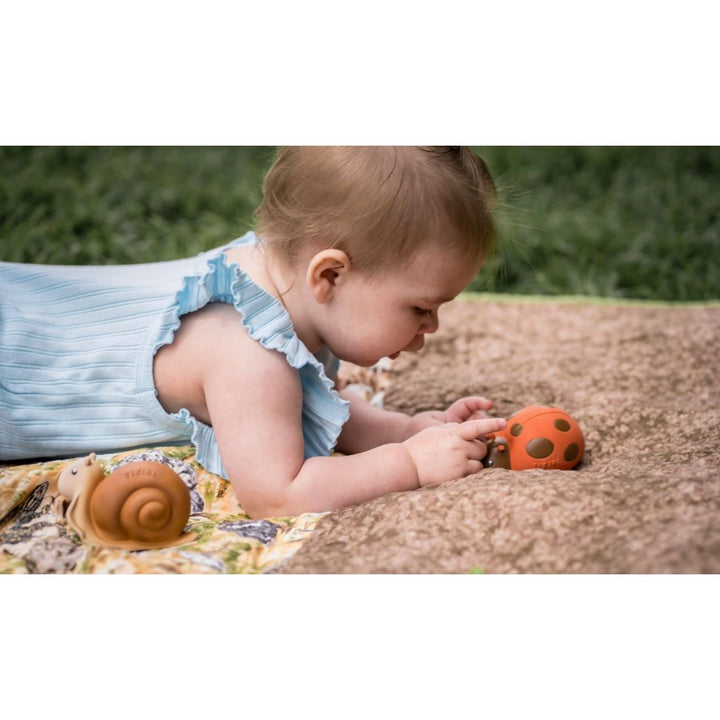 Tikiri Ladybug Teether, Rattle & Bath Toy Pacifiers and Teething Tikiri