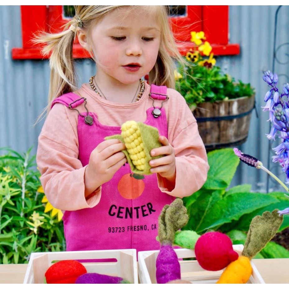 Tara Treasures Felt Vegetables and Fruits Set A (Set of 14 pieces) Felt Toy Tara Treasures